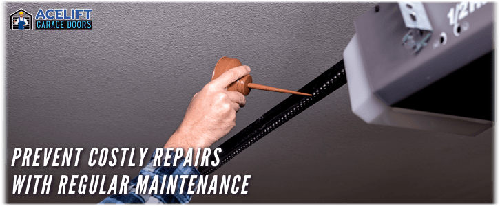 Garage Door Maintenance AceLift